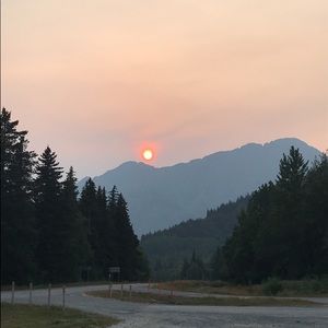 Meet your Posher, Josephine